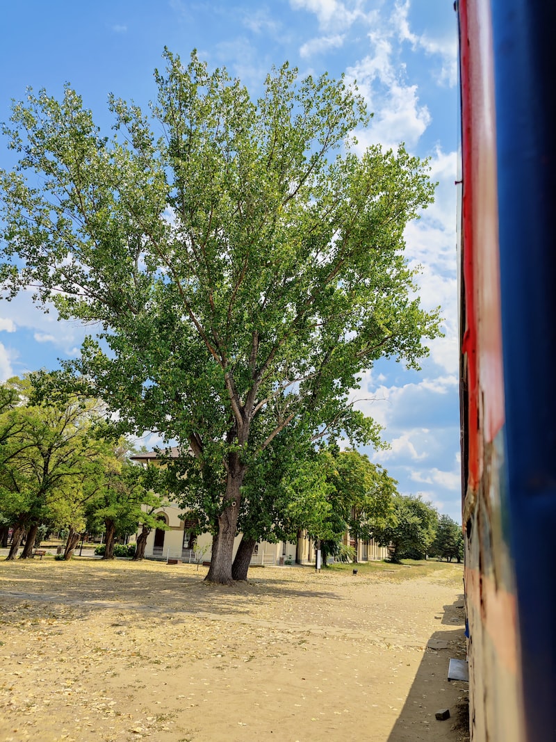 Sivas'ın Doğal Güzellikleri Sivas'ın Doğal Güzellikleri
